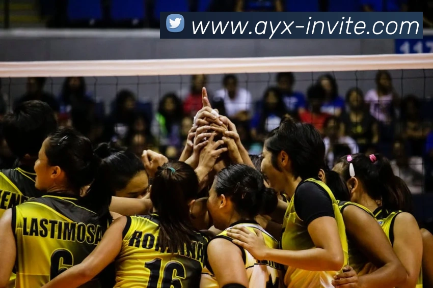 爱游戏服务体系