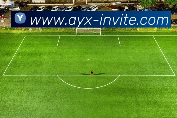 多媒体互动体验